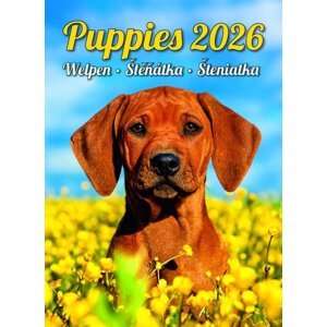 2025 ŠTĚŇÁTKA NÁSTĚNNÝ