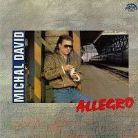 LP DAVID MICHAL - ALLEGRO