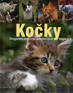 Obálka knihy