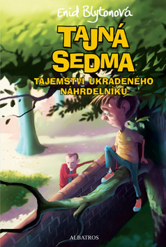 TAJNÁ SEDMA 2.ZÁHADA UKRADENÉHO NÁHRDE