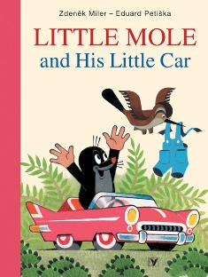 LITTLE MOLE AND HIS LITTLE CAR