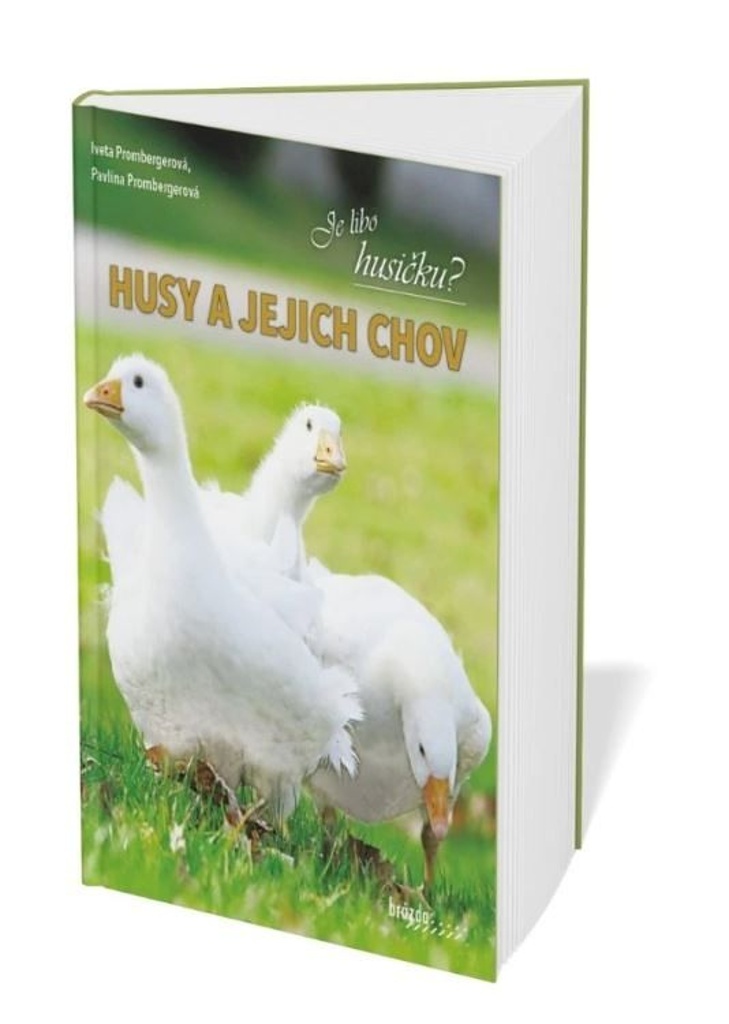 HUSY A JEJICH CHOV