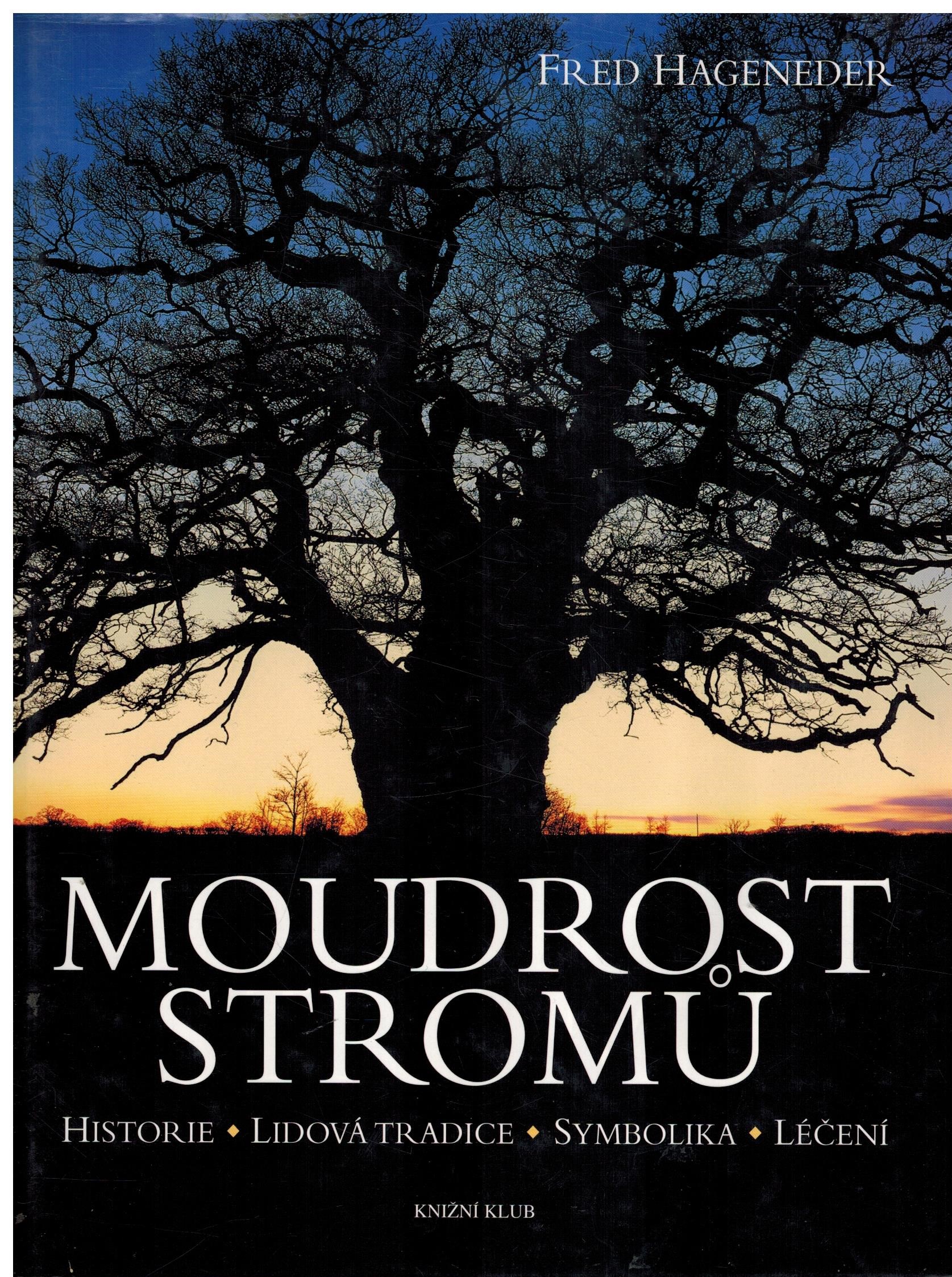 MOUDROST STROMŮ