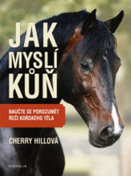 Obálka knihy