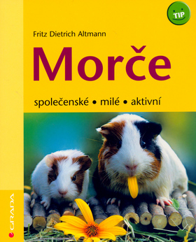 MORČE-SPOLEČENSKÉ,MILÉ, AKTIVNÍ/GRADA