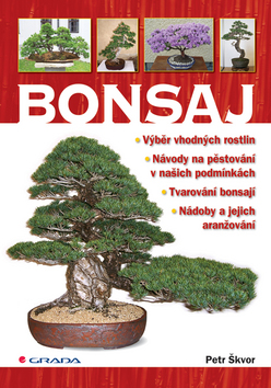 BONSAJ  (GRADA)