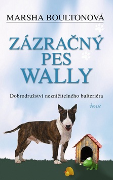 Obálka knihy