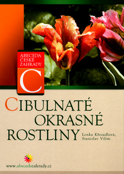 CIBULNATÉ OKRASNÉ ROSTLINY/CP