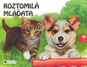 Obálka knihy