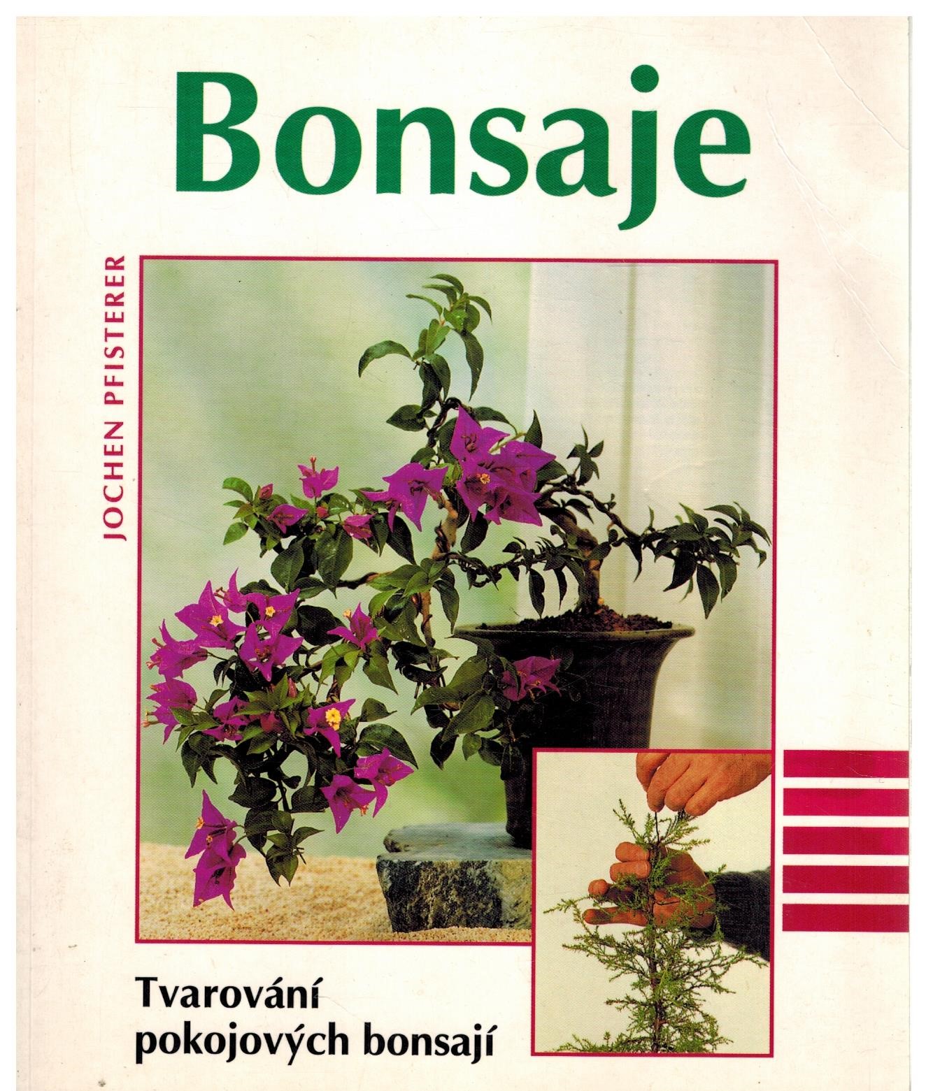 BONSAJE