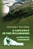 A CASTAWAY IN THE WILDERNESS