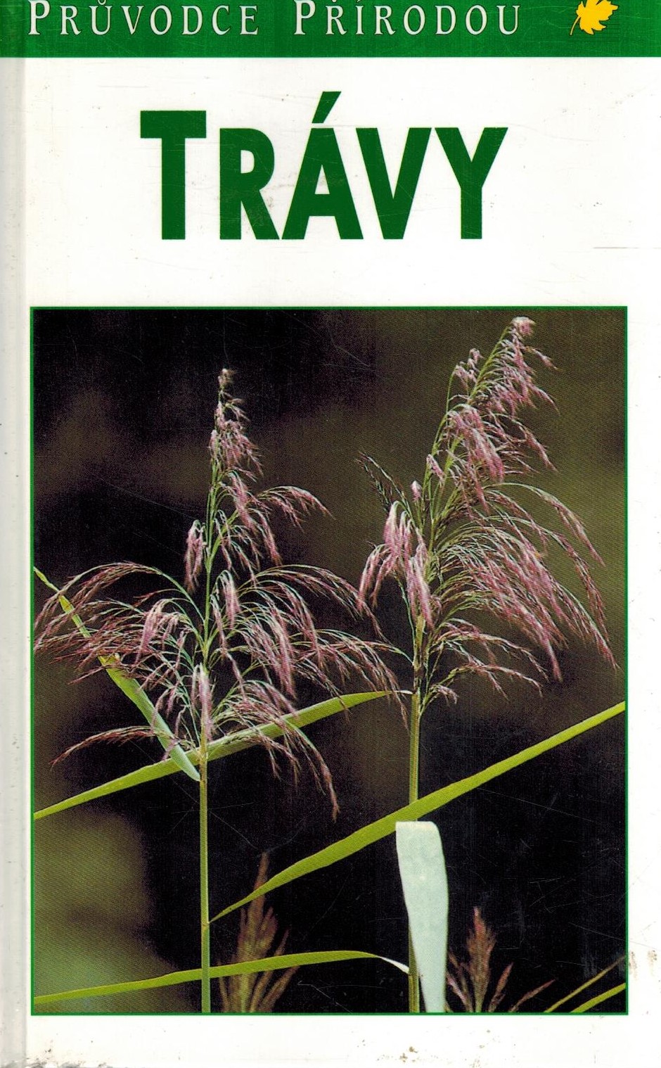 TRÁVY