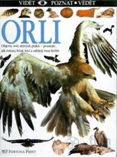 ORLI VPV