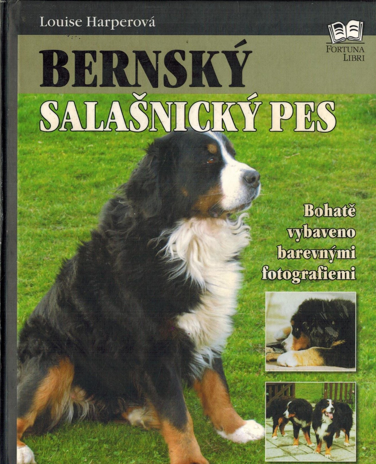 BERNSKÝ SALAŠNICKÝ PES