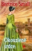 Obálka knihy