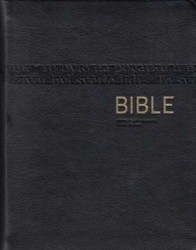 BIBLE [ČERNÁ VE ZLATÉM OBALU]