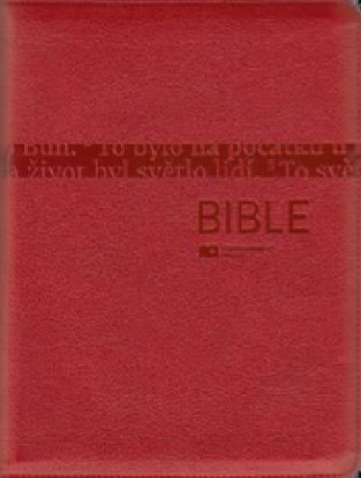 BIBLE - S DT 1272