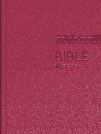 BIBLE (KATOLICKÁ, VĚTŠÍ)