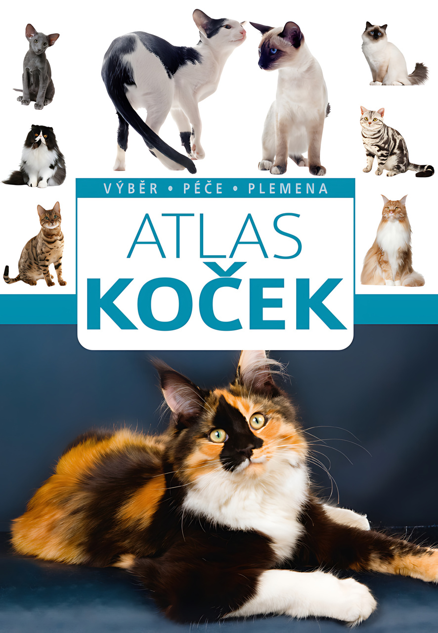 ATLAS KOČEK