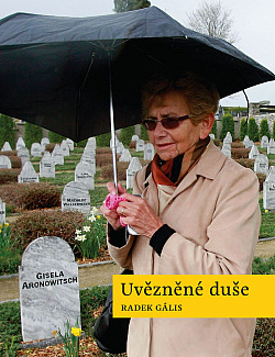 UVZNN DUE