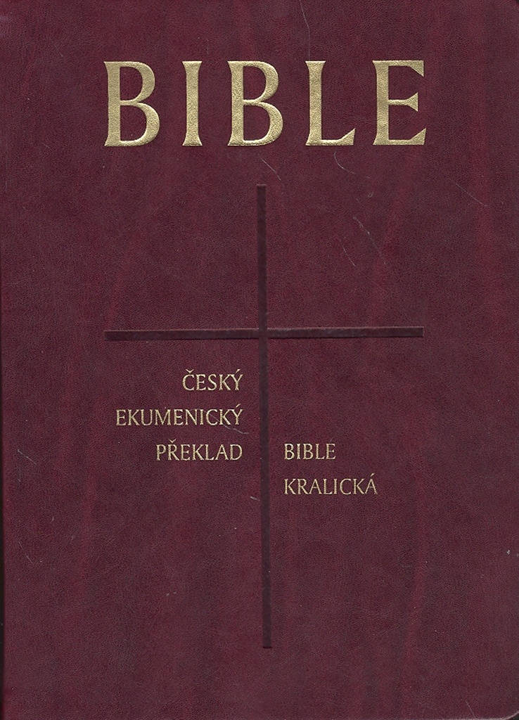 BIBLE SYNOPTICKÁ BIBLE