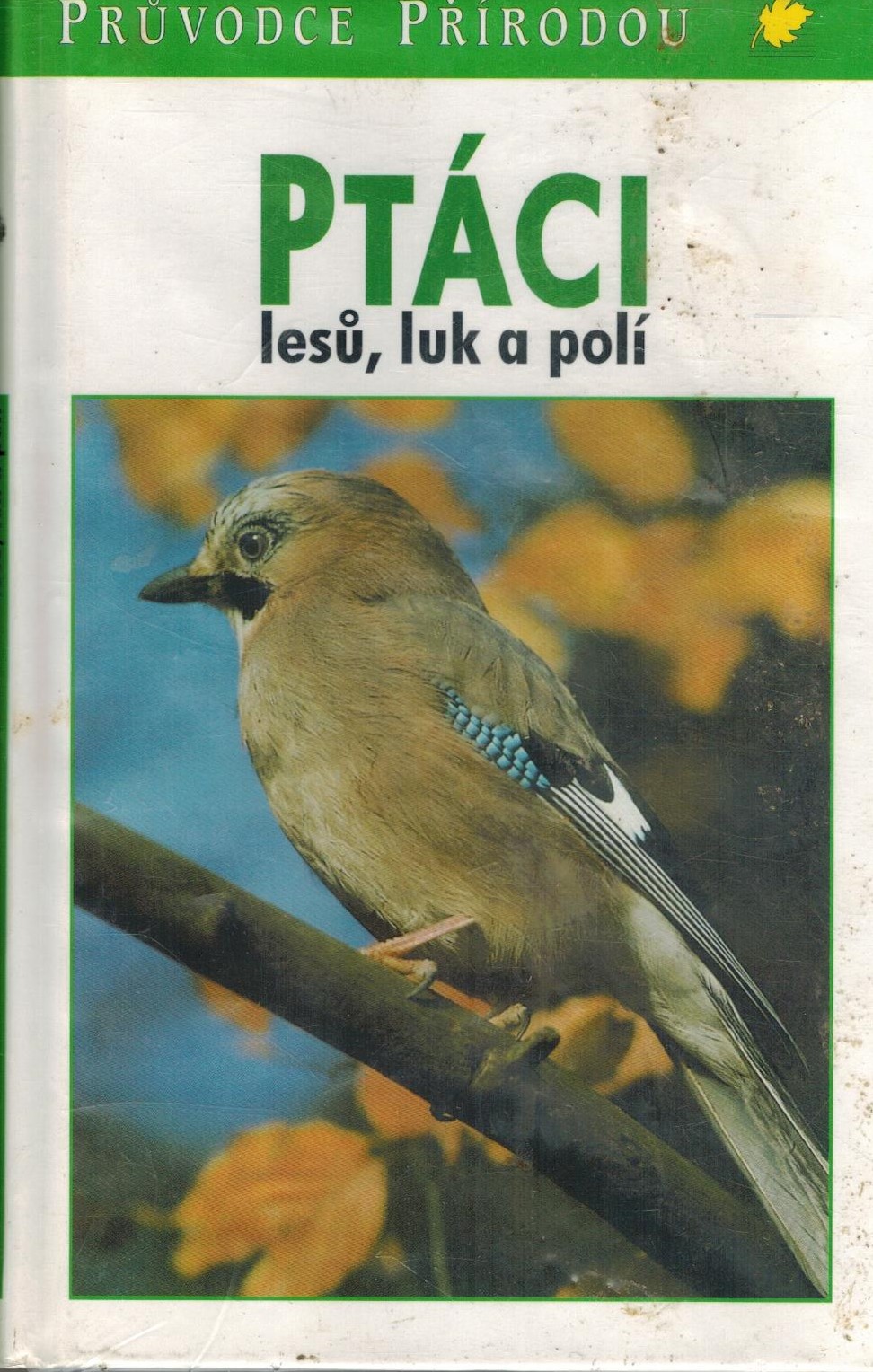 PTÁCI LESŮ, LUK A POLÍ