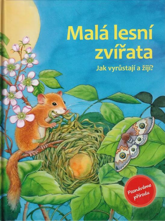MALÁ LESNÍ ZVÍŘATA JAK VYRŮSTAJÍ A ŽIJÍ?