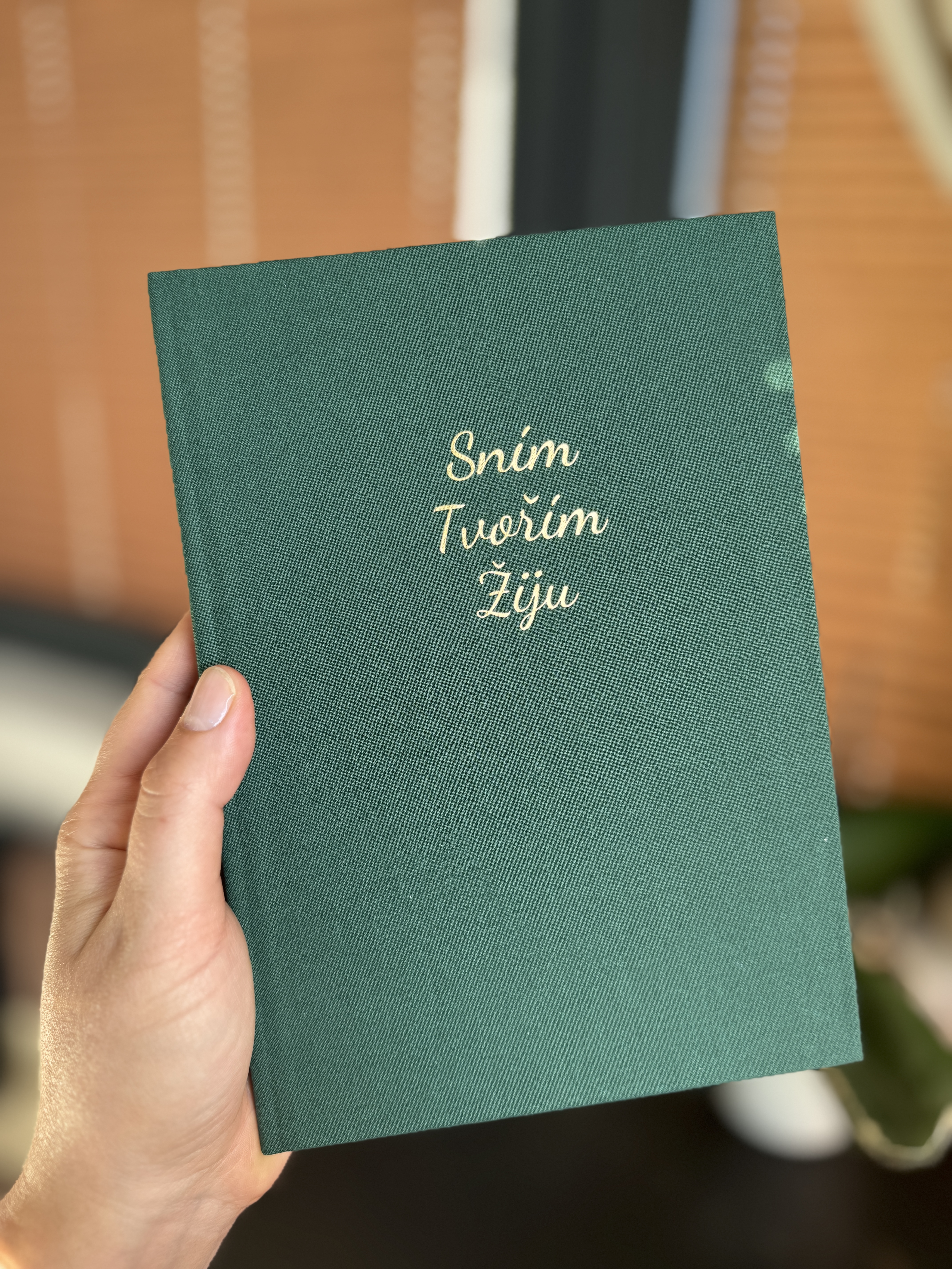 SNÍM TVOŘÍM ŽIJU [MŮJ ZÁPISNÍK]