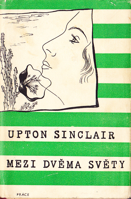Obálka knihy