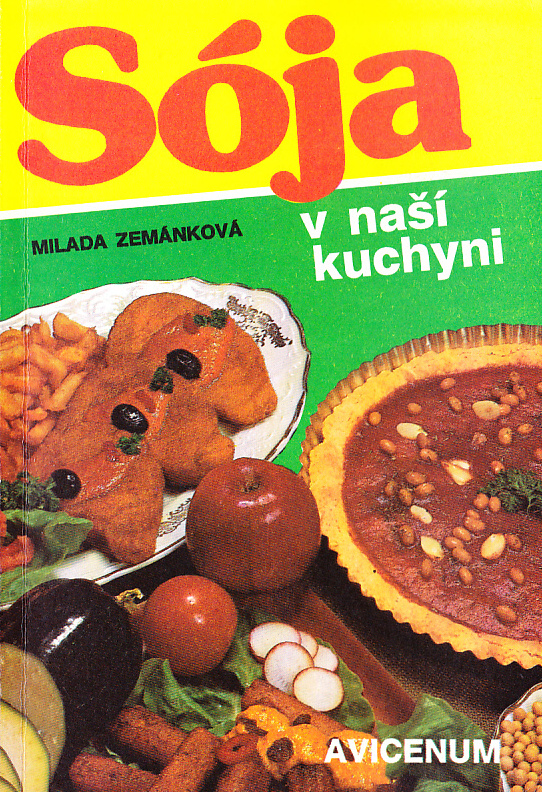Obálka knihy