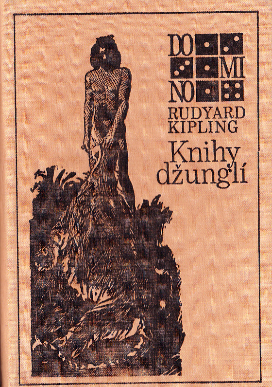 Obálka knihy