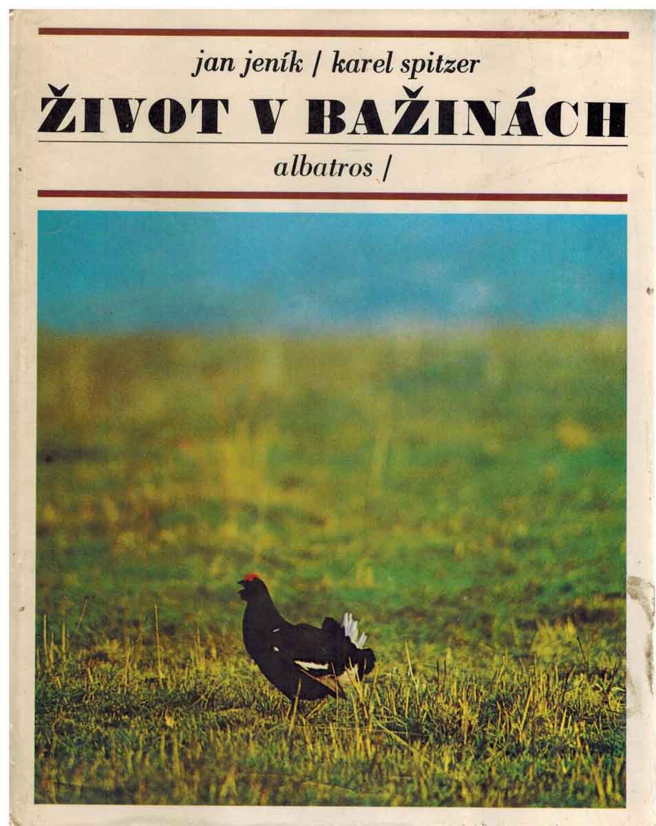 ŽIVOT V BAŽINÁCH