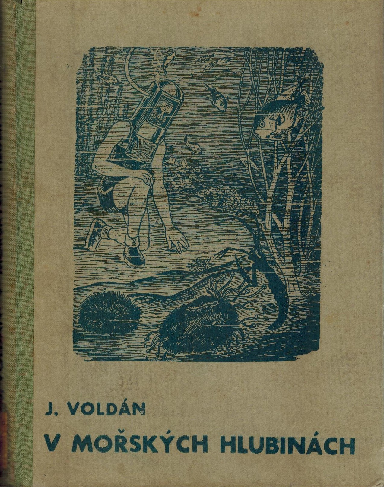 V MOŘSKÝCH HLUBINÁCH