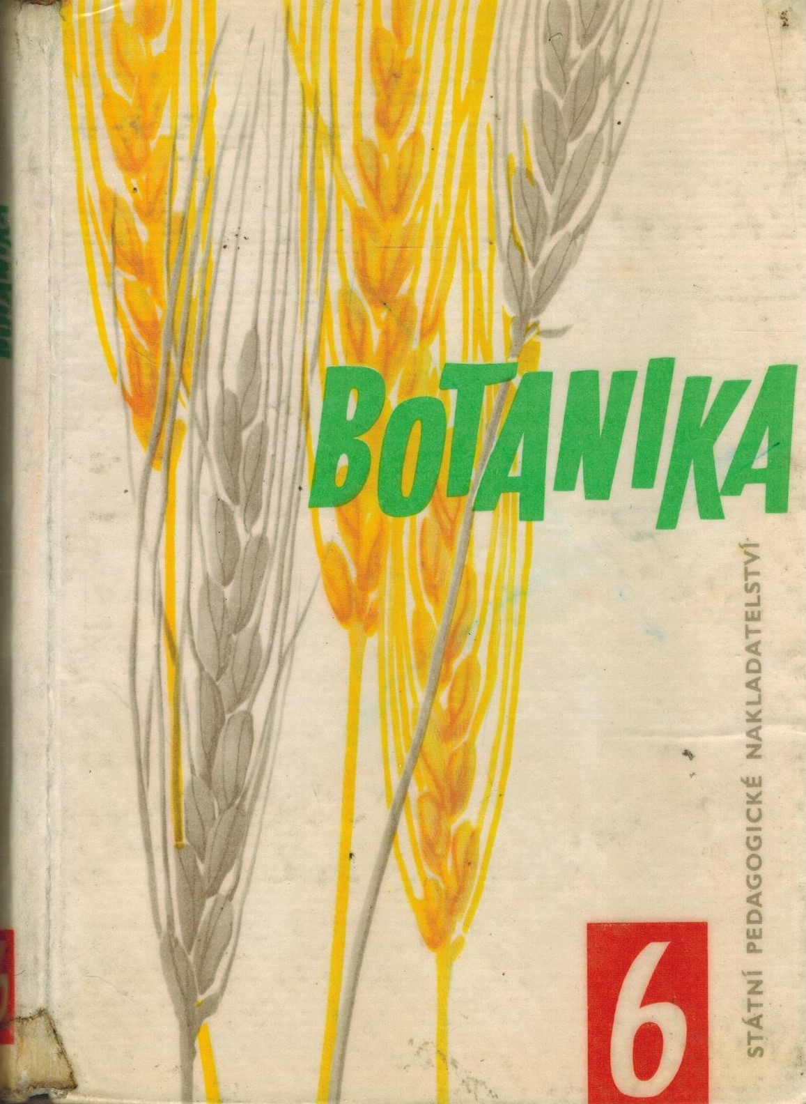 BOTANIKA 6