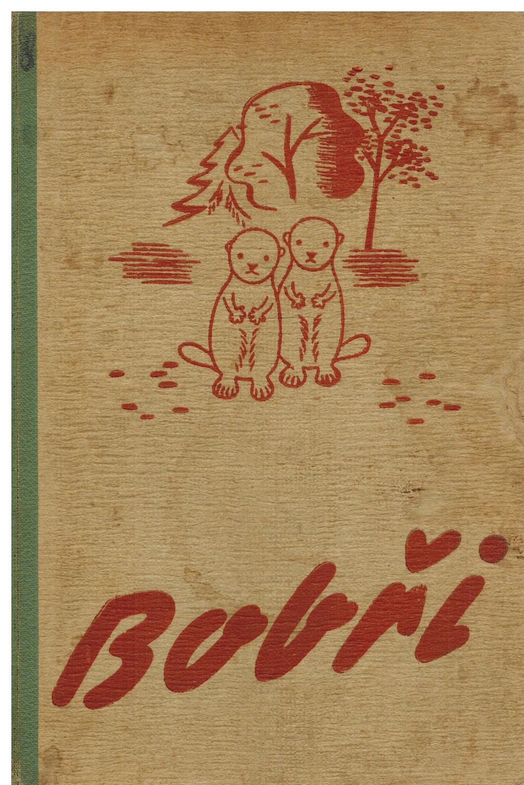 Obálka knihy