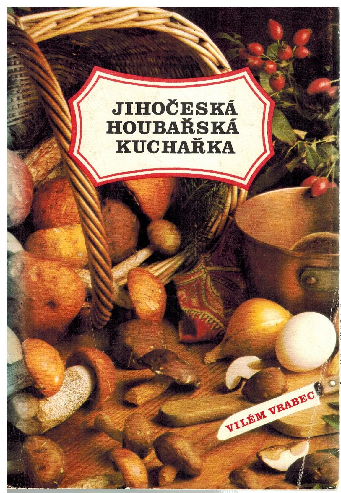 Obálka knihy
