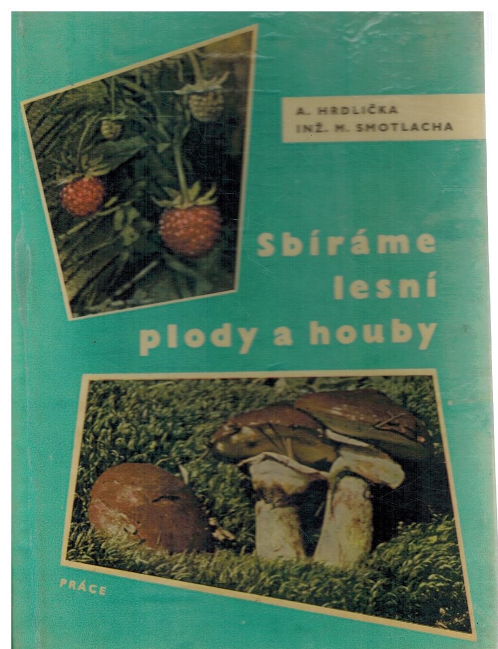 Obálka knihy