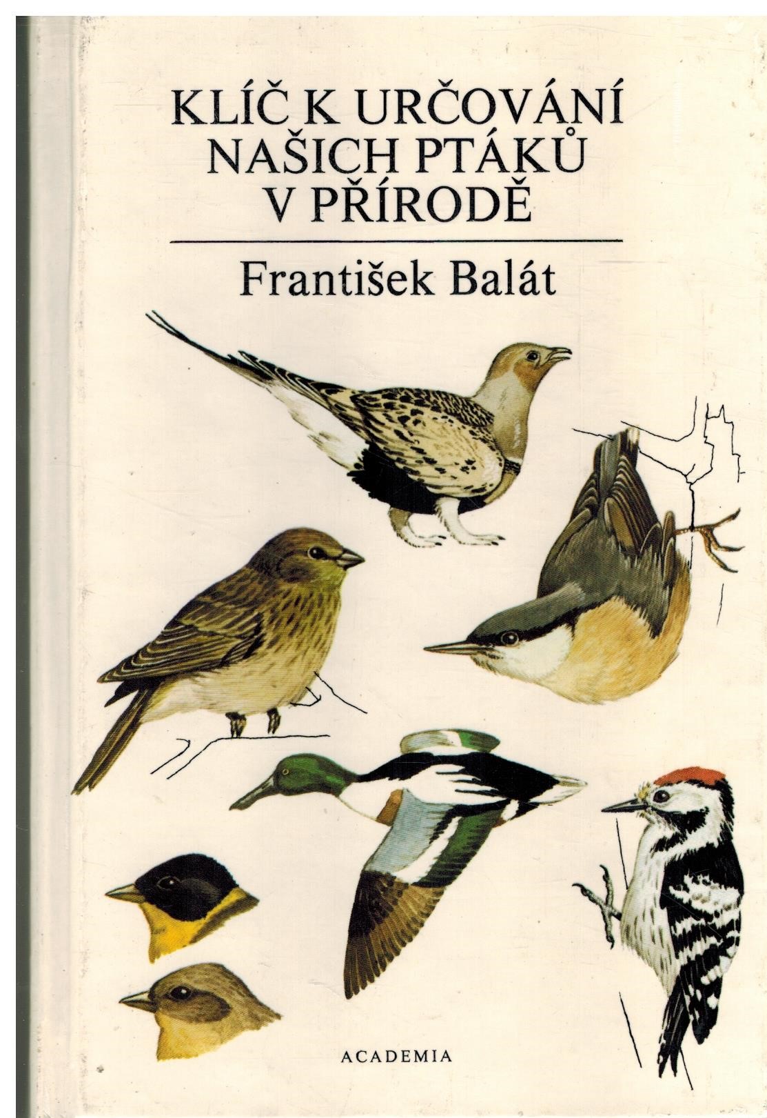 KLÍČ K URČOVÁNÍ NAŠICH PTÁKŮ V PŘÍRODĚ
