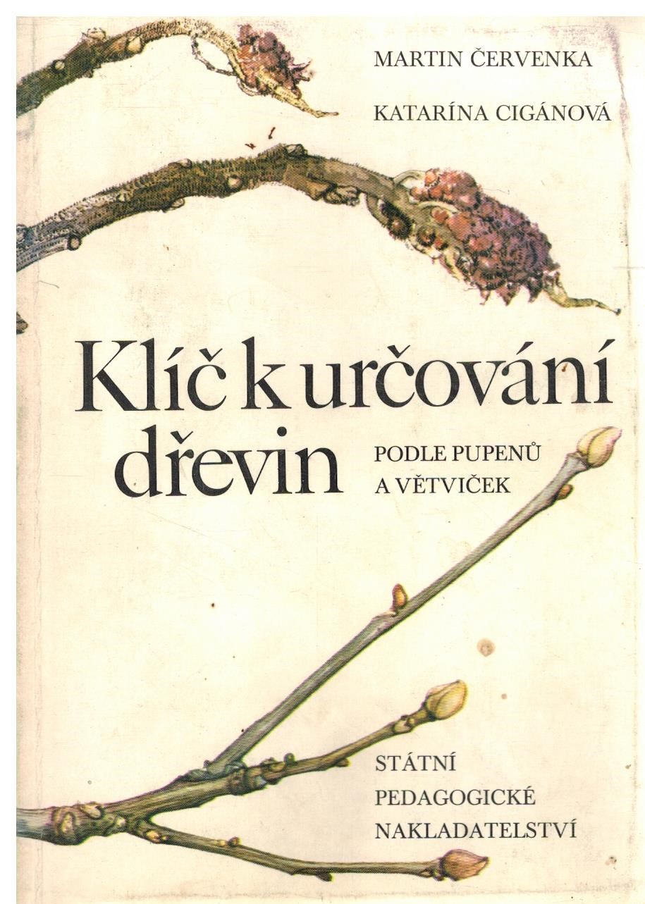 KLÍČ K URČOVÁNÍ DŘEVIN