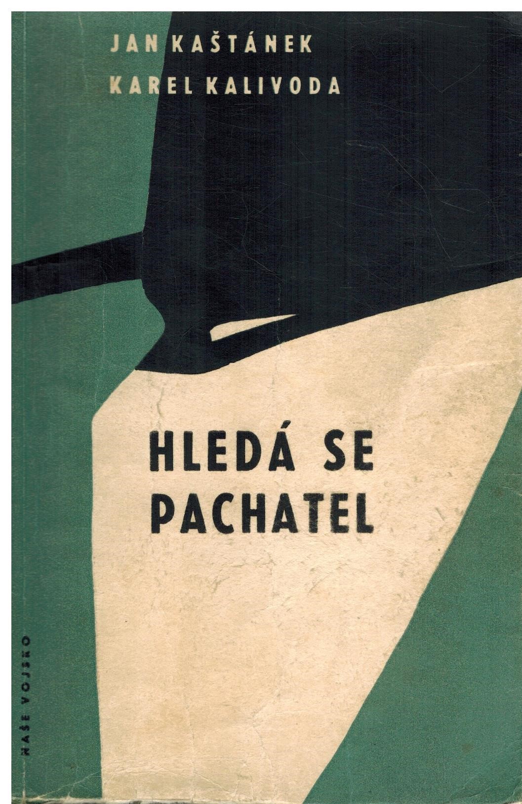 HLEDÁ SE PACHATEL