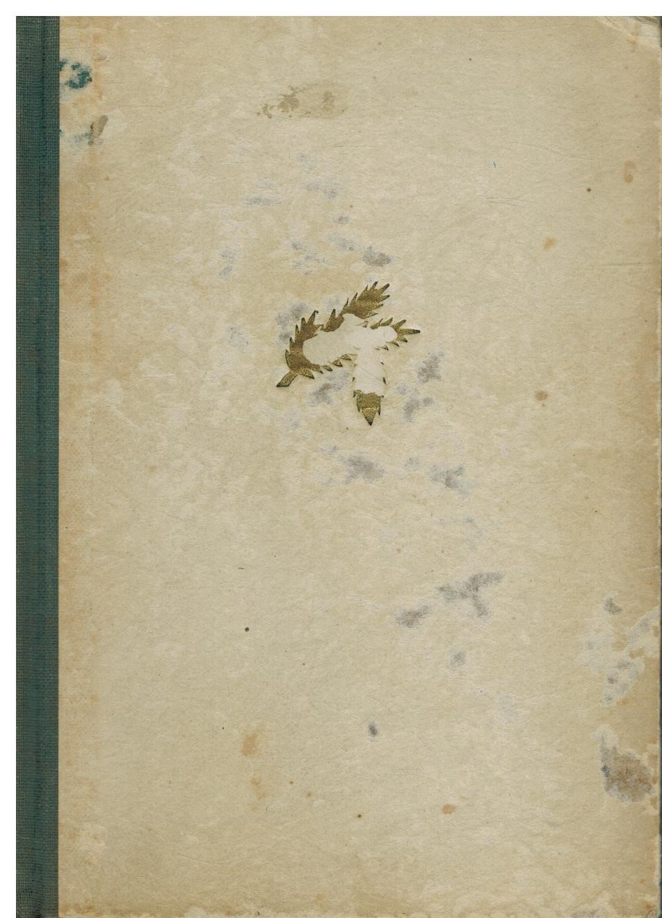 MRTVÍ SE NEVRACEJÍ