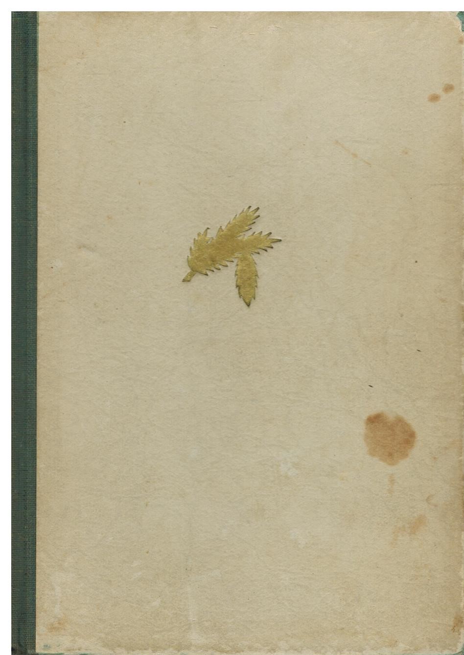 POŠUMAVSKÉ RAPSODIE