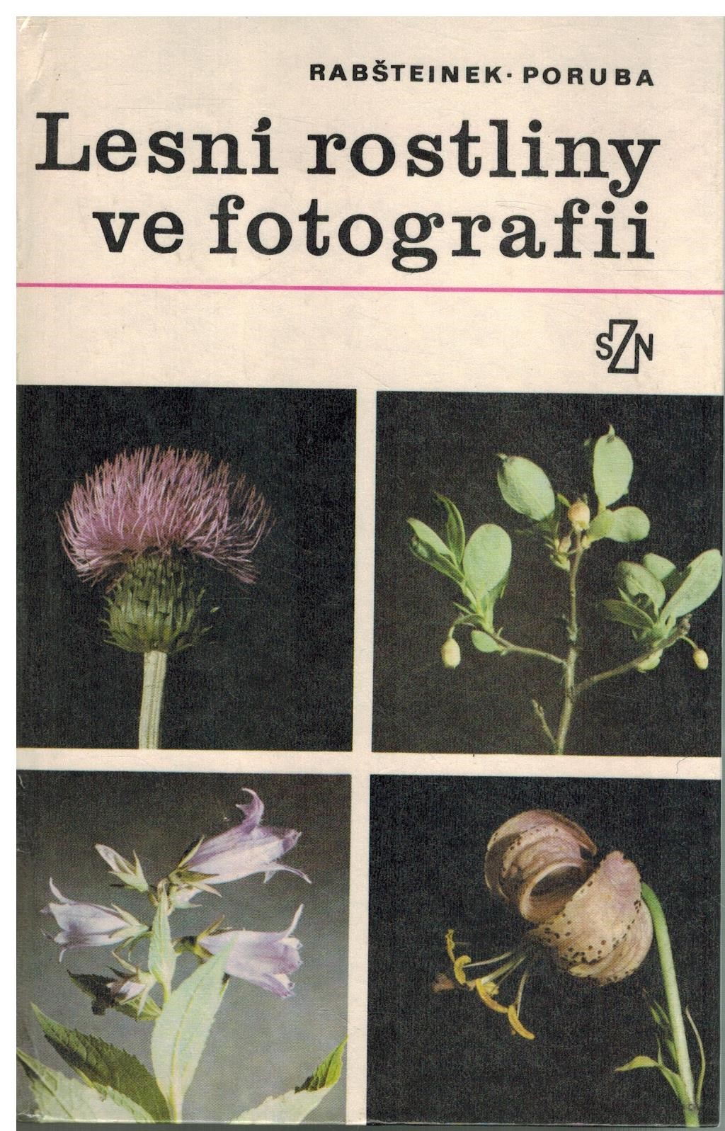 LESNÍ ROSTLINY VE FOTOGRAFII
