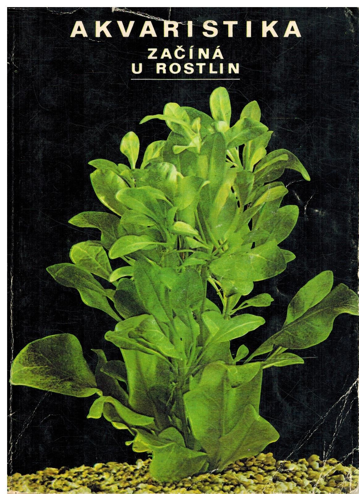 AKVARISTIKA ZAČÍNÁ U ROSTLIN
