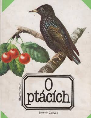 O PTÁCÍCH