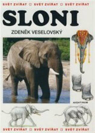 SLON