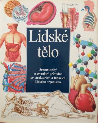 LIDSKÉ TĚLO