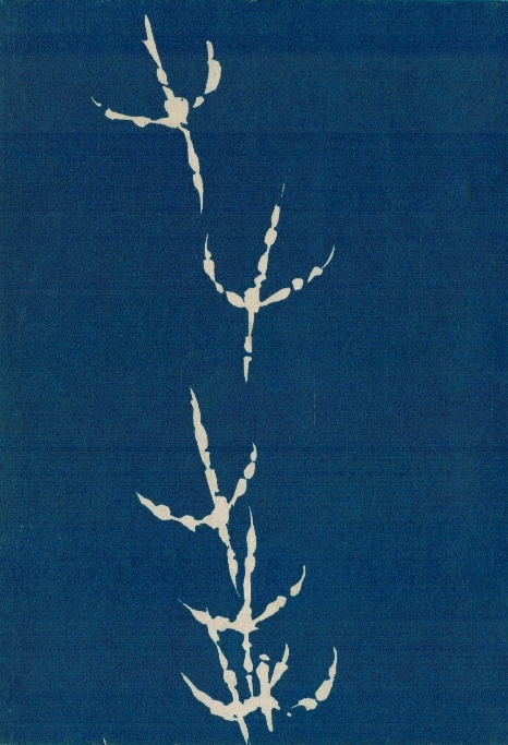 MYSLIVCŮV ROK ZIMA JARO LÉTO