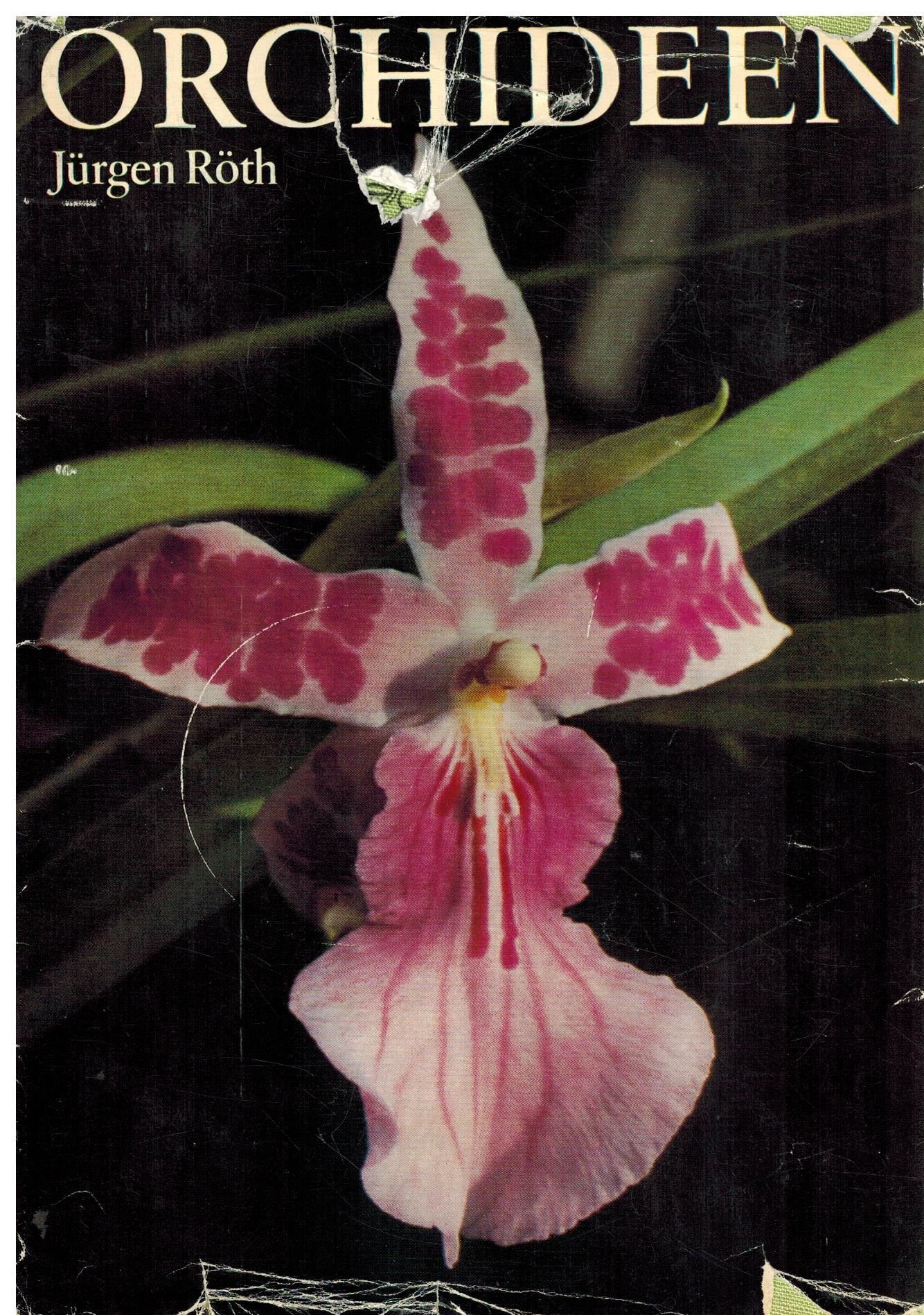 ORCHIDEEN