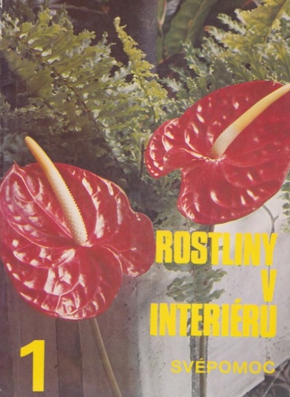 ROSTLINY V INTERIÉRU I.